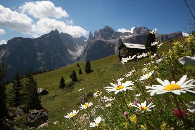 Alta Badia - dalaNat